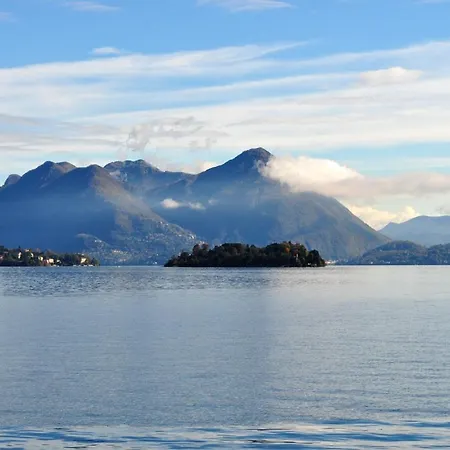 Luxury In With Pool *